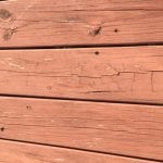 IMG_1436.JPG