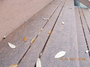 Mold Mildew on Deck Stain | DeckStainHelp Mold Mildew on Deck Stain