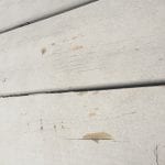 ABA80DB6-7B83-41EA-8A62-6F30AD8C6AC9.jpeg