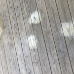 CE8E7B30-CC0E-4CA0-A1A3-33633D54AD55.jpeg