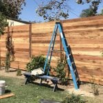 Fence.new.jpg