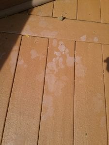 20190830_115331.jpg