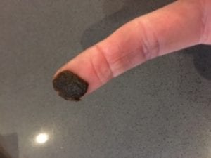 ready seal tar.JPG