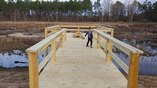 How Long Should you Wait to Stain a New Deck