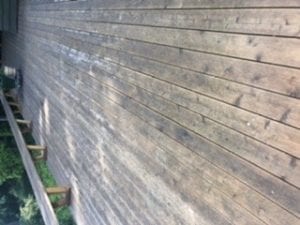38151D47-ABED-450B-80B2-EBA6DD472791.jpeg