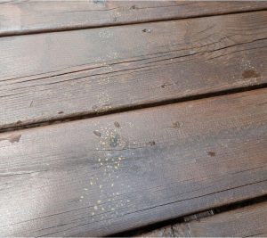 Rust-stain