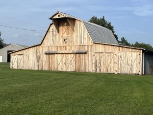 IMG_6142