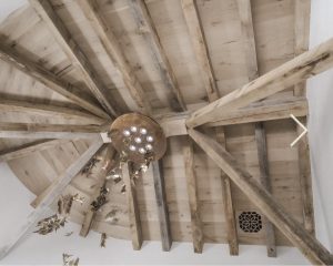 IMG_6785