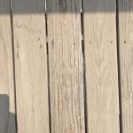 IMG_4602