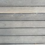 IMG_4638