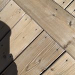 IMG_8741
