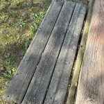 IMG_7346