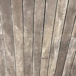 IMG_1272