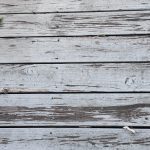 IMG_1790